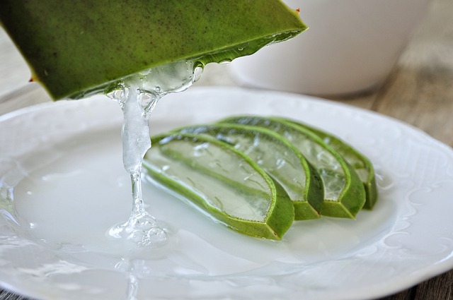 aloe vera stava